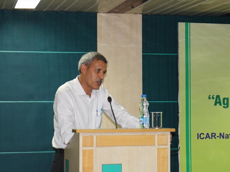 Agriculture and Ecosystem Services